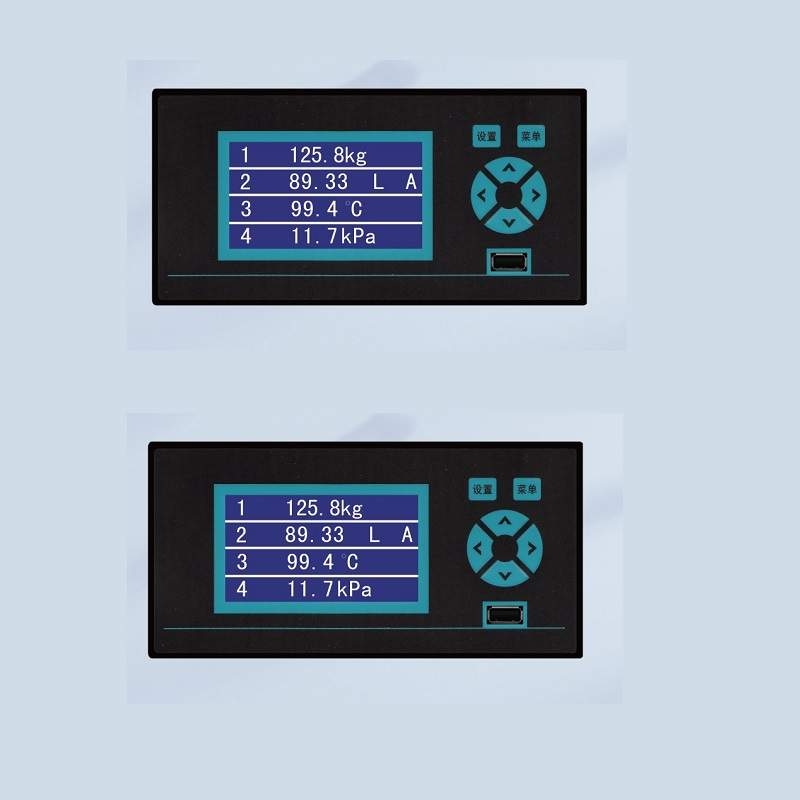 XSR10R液晶无纸记录仪 2通道 2路报警 通讯信号 带USB记录仪